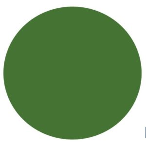 CIRCULO ADHESIVO VERDE 100 mm PARA CRISTAL (PACK: 1 UDS)