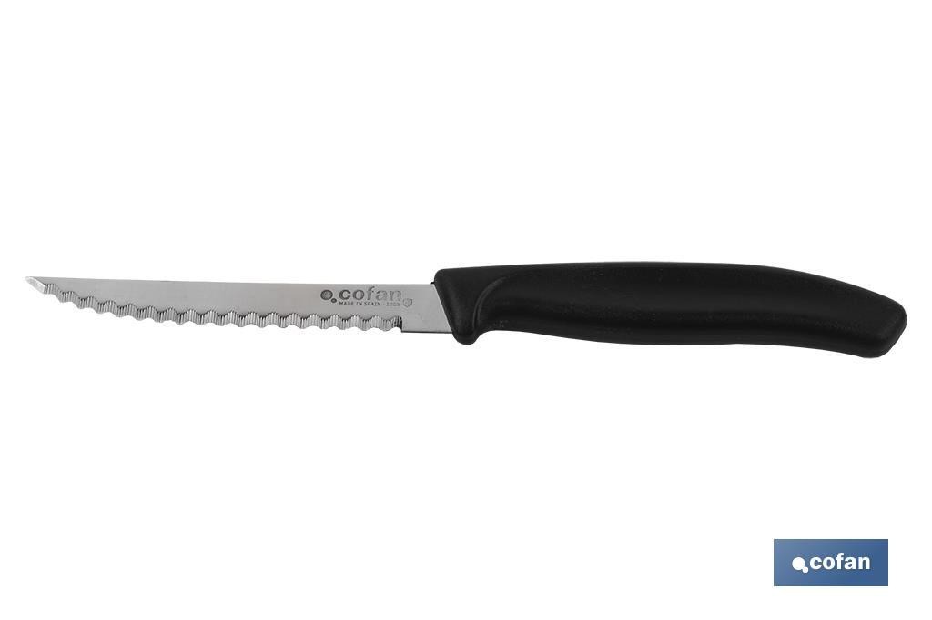 PACK 12 unds CUCHILLO COCINA MICRO MOD GINGER 10,5cm (PACK: 1 UDS)